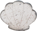 Kleine Fächer Muschel weiß/grau, h 3,5 cm, für Holzkränze