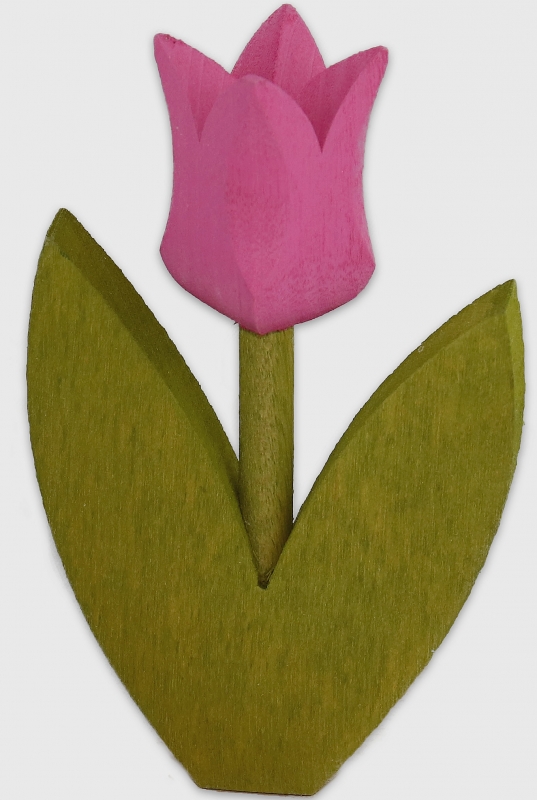 Nedholm Tulpe helles rosa, Blätter hellgrün