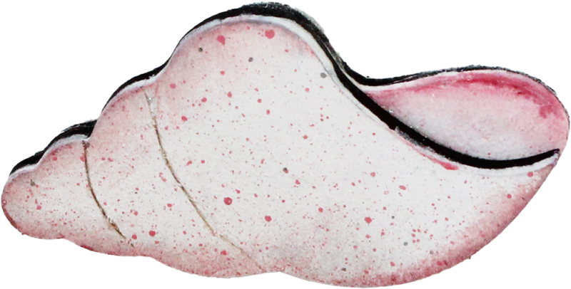 Kleine Muschel Schnecke weiß/rosa, l 5,5 cm, für Holzkränze