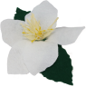 Snowdrop, h 13 cm, white/dark green, for candlerings (copy)
