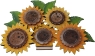 Steckmotiv Sonnenblumen für den großen Holzkorb, 22x16 cm