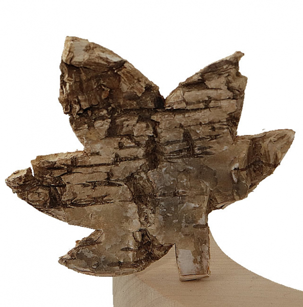Kranzstecker Ahornblatt aus Birkenrinde, H 7 cm, für Sebastian Holzkränze
